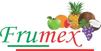 logo frumex